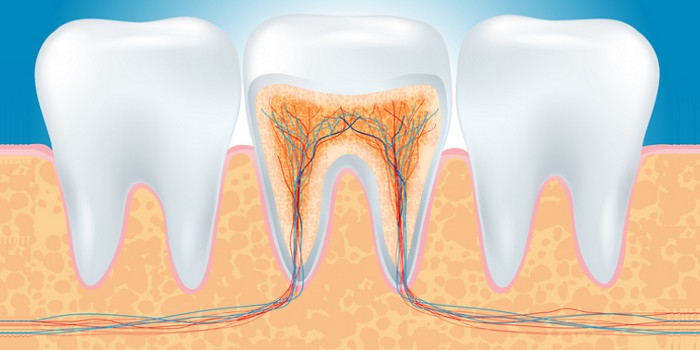 Endodontische Maßnahmen